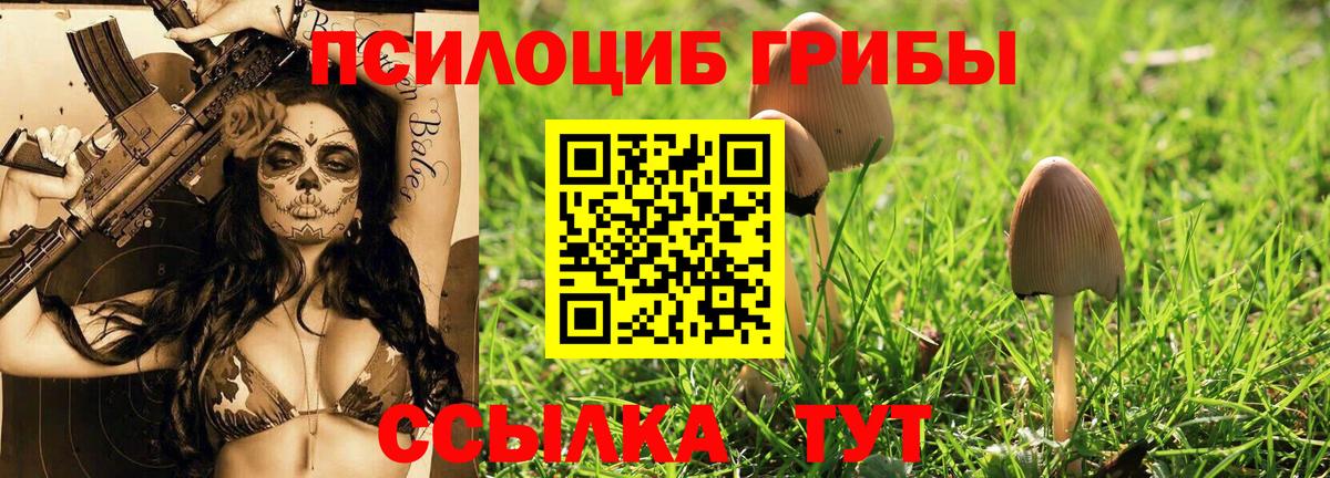 Галлюциногенные грибы прущие грибы  Вход с VPN  Шали 